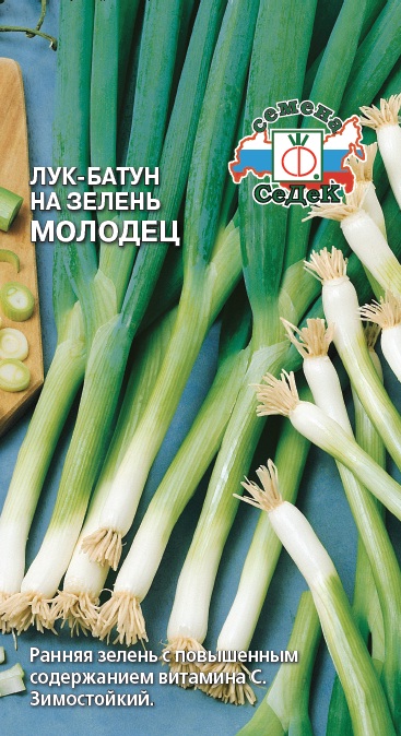 Лук батун Молодец  1гр/10