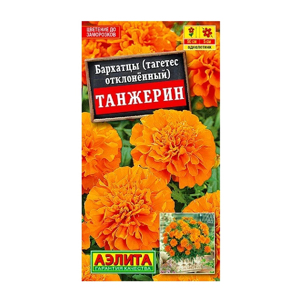 Бархатцы (тагетес отклоненный)Танжерин обильноцветущие 0,3гр/10