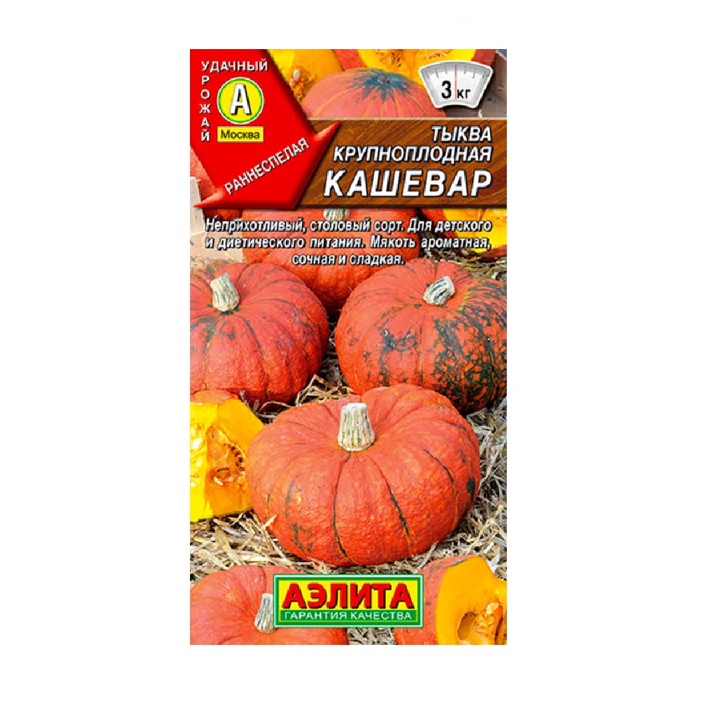Тыква крупноплодная Кашевар  2гр/10
