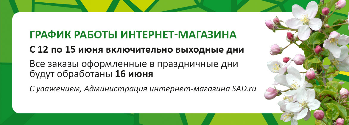График работы июнь 2025