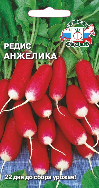 Редис Анжелика  2гр/10