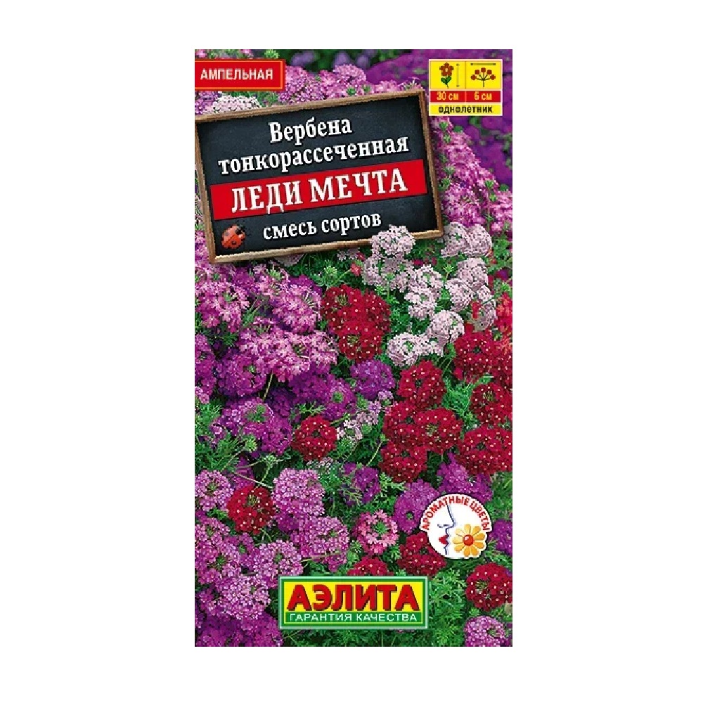 Вербена тонкорассеченная Леди мечта, смесь сортов 30шт  /10