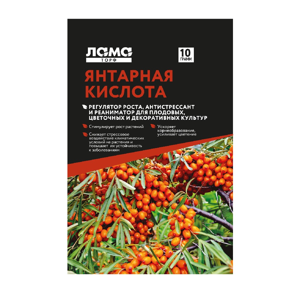 Средство Янтарная кислота 10гр /
