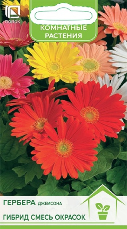 Гербера Джемсона Гибрид смесь окрасок  10шт/10