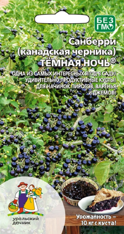 Санберри (Канадская черника) Тёмная ночь 12шт/10