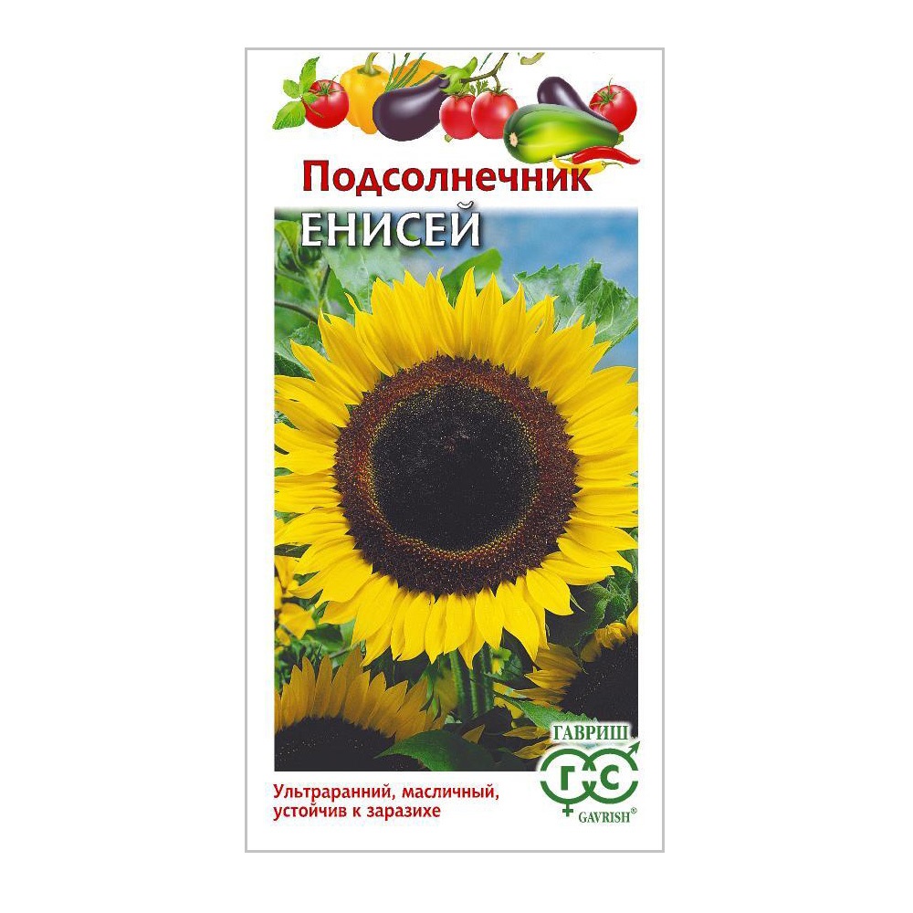 Подсолнечник Енисей  10гр/5/10