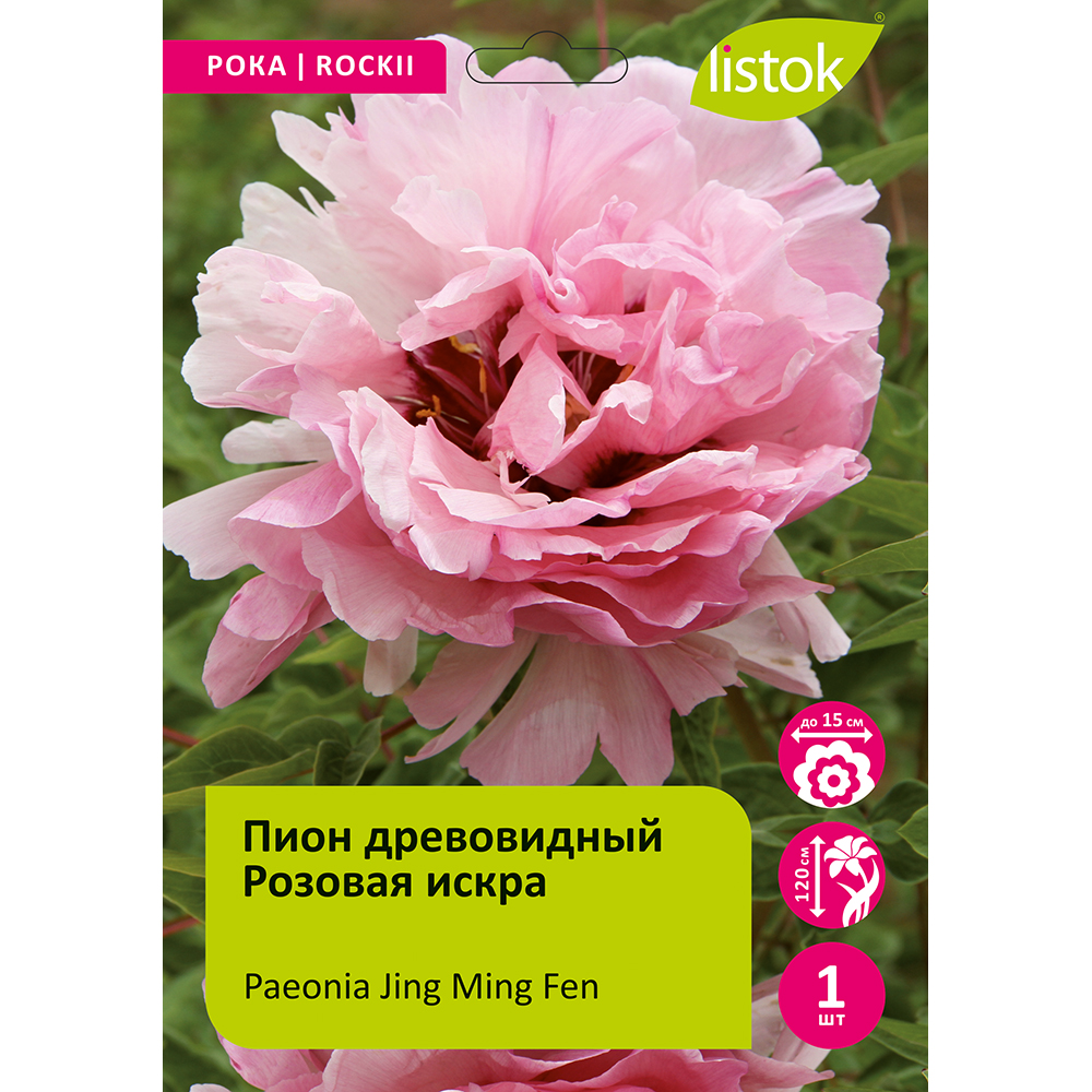 Пион древовидный Розовая искра 1шт/Paeonia Jing Ming Fen (Цзин Мин Фэнь)