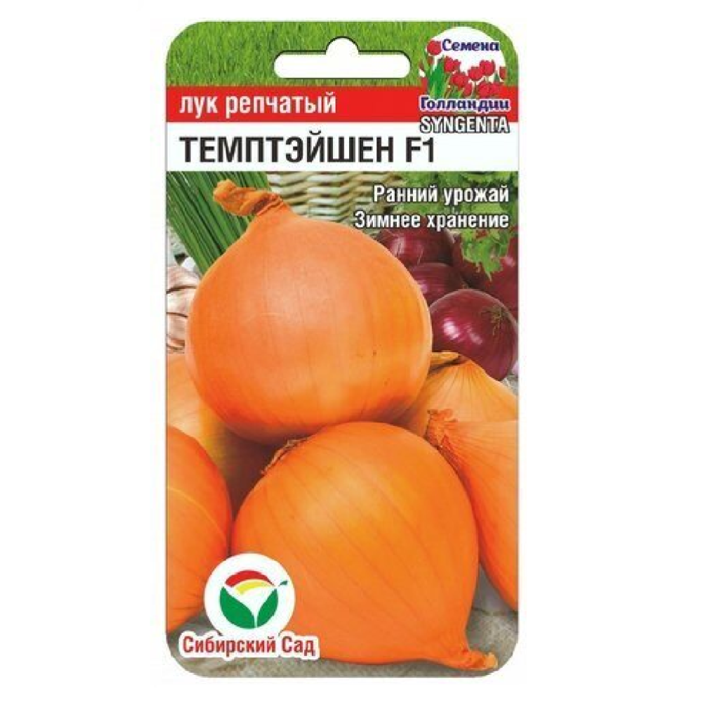 Лук репчатый Темптэйшен F1  100шт/10