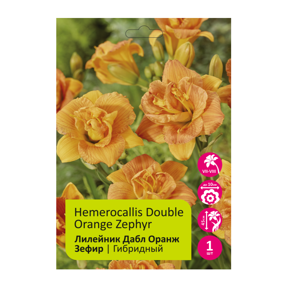 Лилейник Дабл Оранж Зефир 1шт /Hemerocallis Double Orange Zephyr