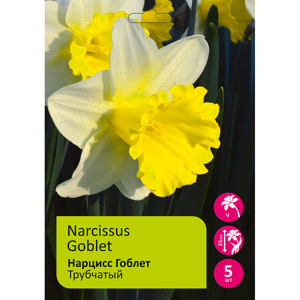 Нарциссы Гоблет трубчатый 5шт 14/16 / Narcissus Goblet /1