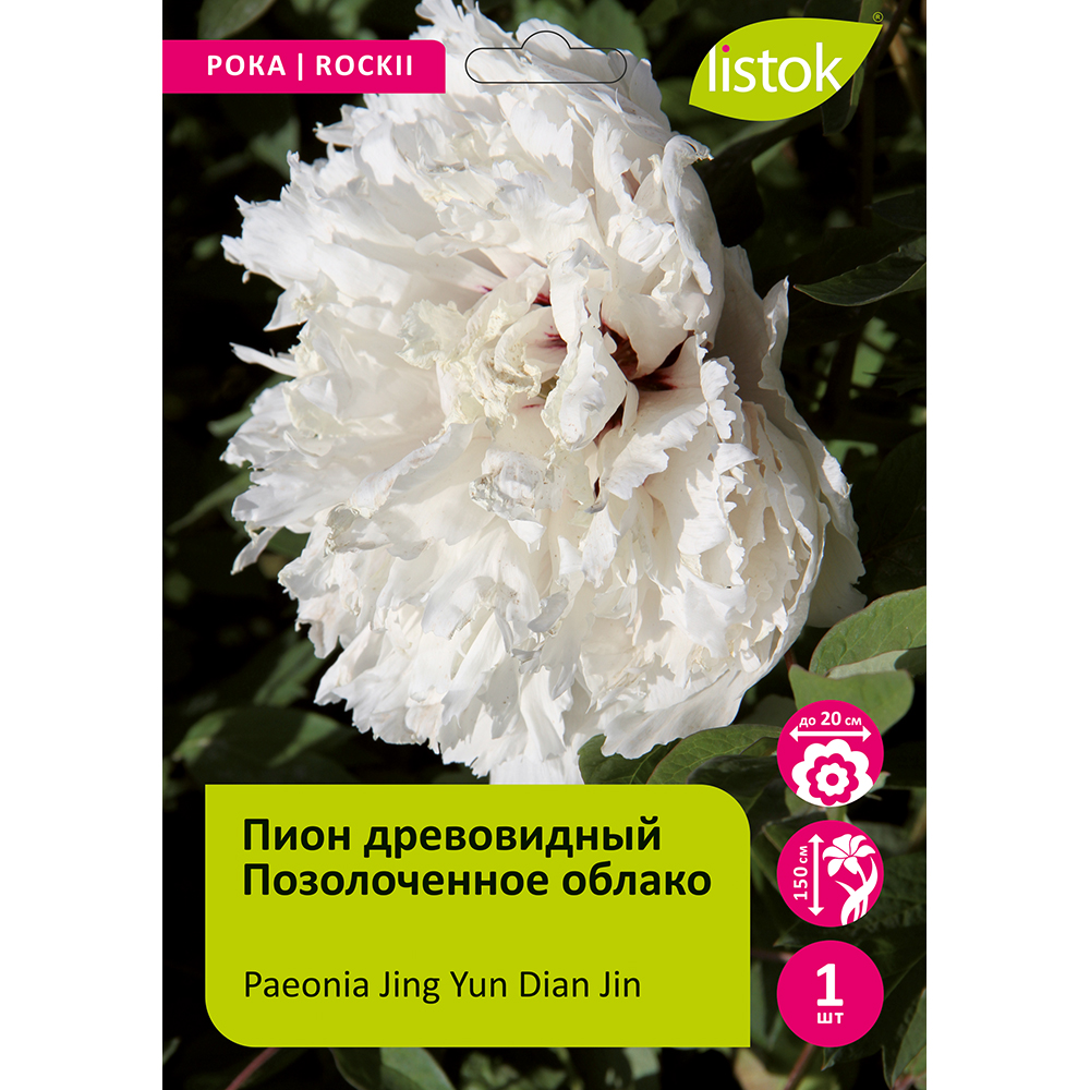 Пион древовидный Позолоченное облако 1шт/Paeonia Jing Yun Dian Jin (Цзин Юнь Диань Цзинь)
