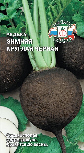 Редька Черная зимняя круглая  1гр/10