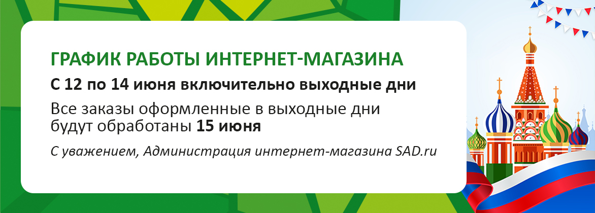 График работы 12-14 июня 2026 года