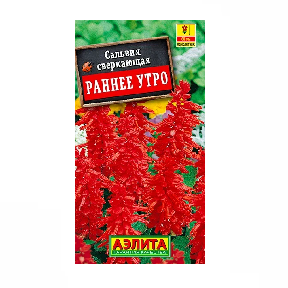 Сальвия сверкающая Раннее утро  0,1гр/10