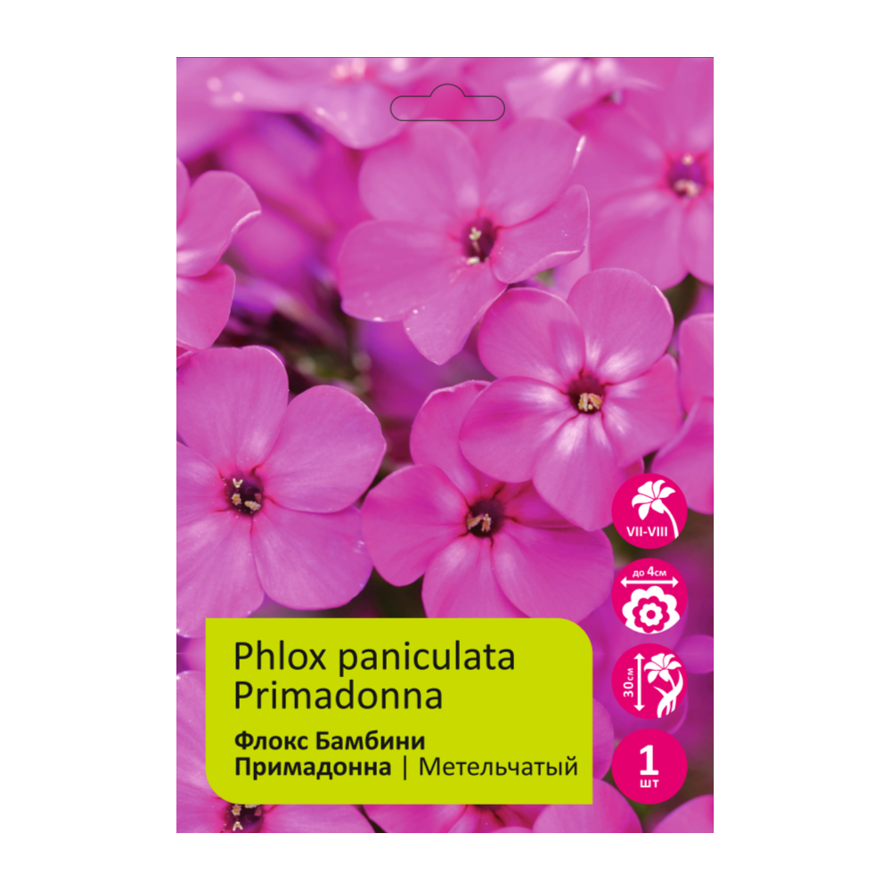 Флокс Бамбини Примадонна 1шт метельчатый /Phlox paniculata Primadonna