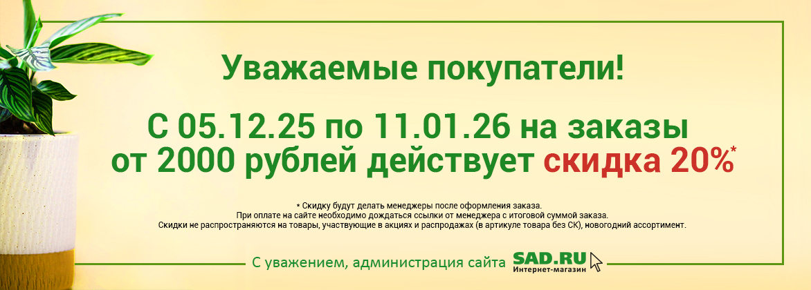 Скидка 20% от 200 рублей