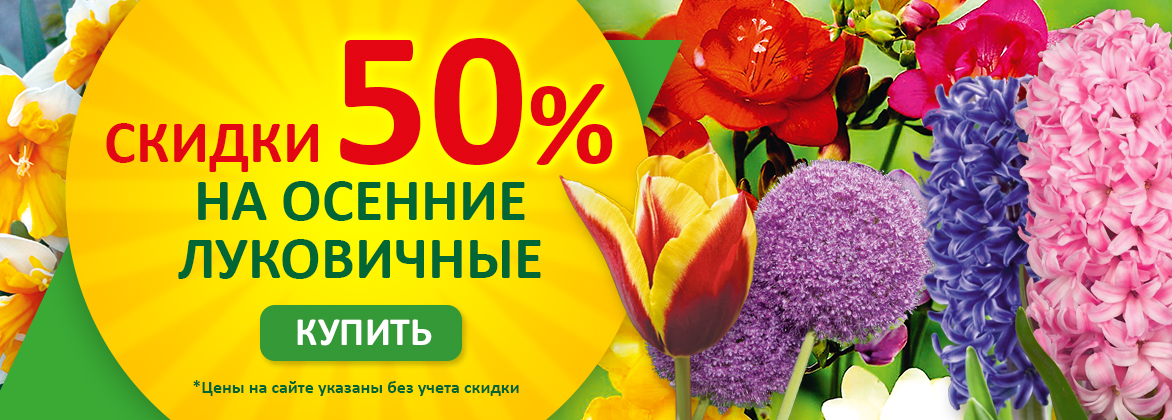 Луковичные ОСЕНЬ уже в продаже