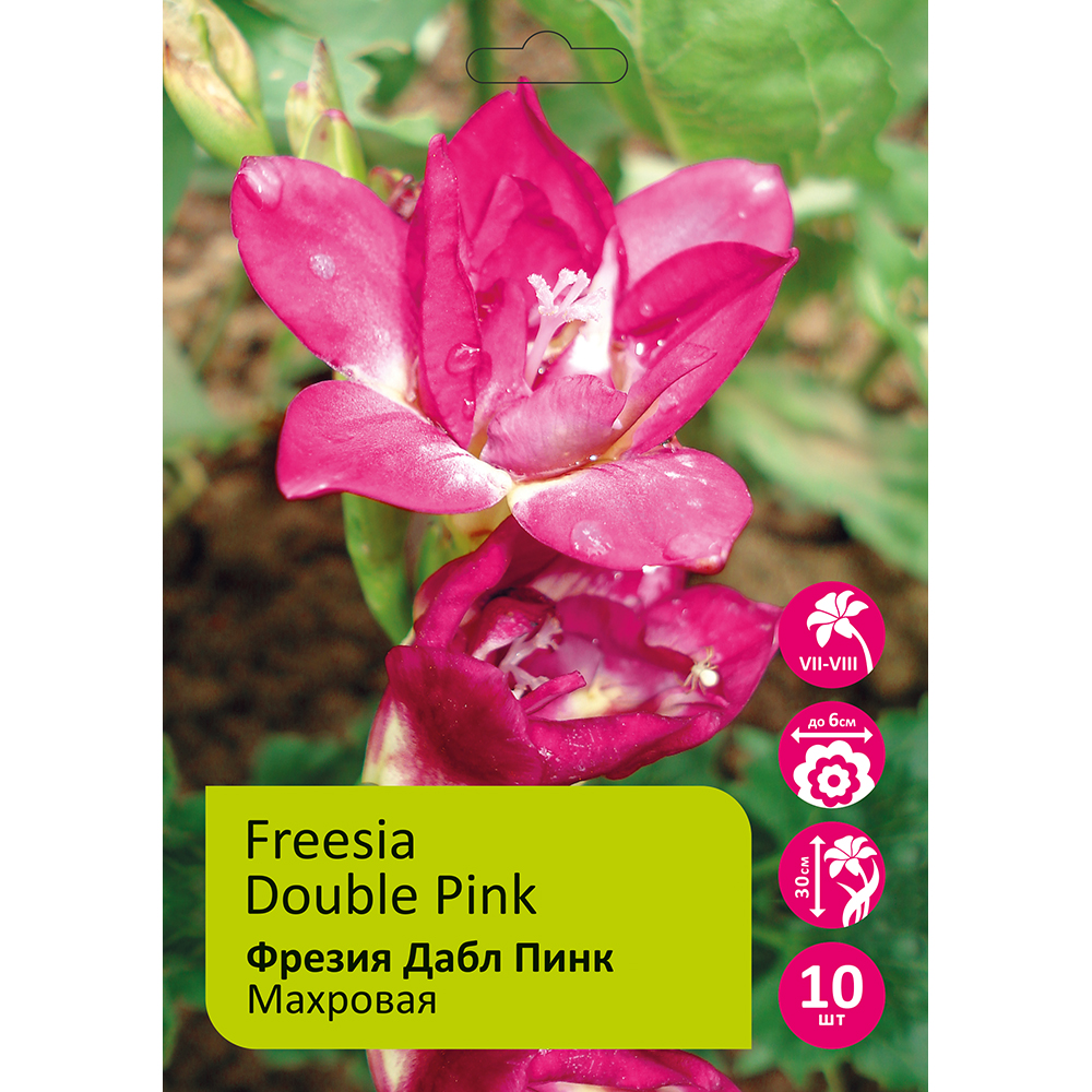 Фрезия Дабл Пинк махровая 10шт 5/6/ Freesia Double Pink