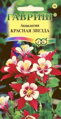 Аквилегия Красная звезда  0,05гр/10