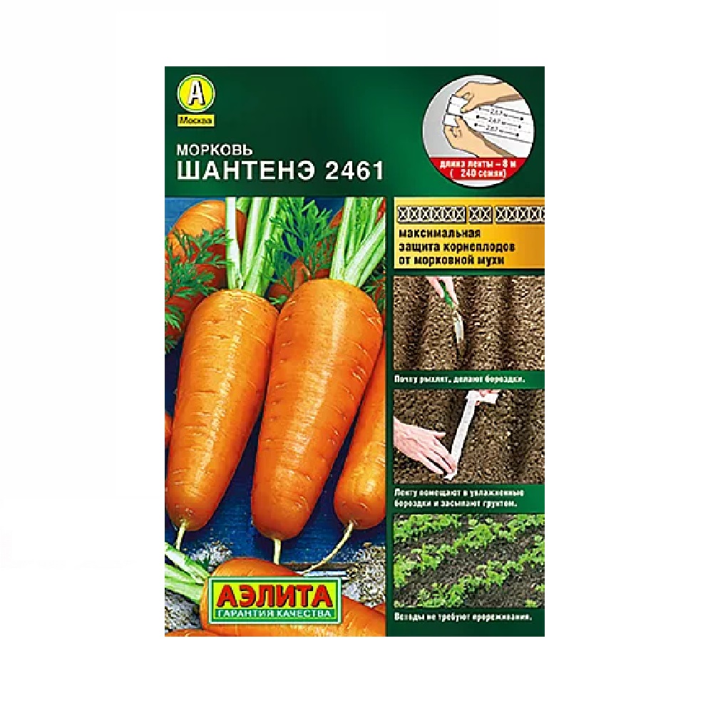 Морковь Шантанэ 2461 / лента 8м  /10