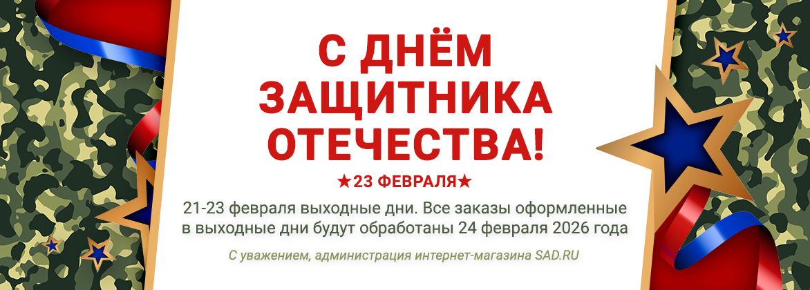График работы на 23 февраля 2026 года
