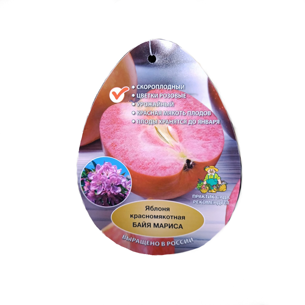 Яблоня Байя Мариса красномякотная 2-х лет (подвой клоновый, 54-118, полукарлик) в сетке 1шт