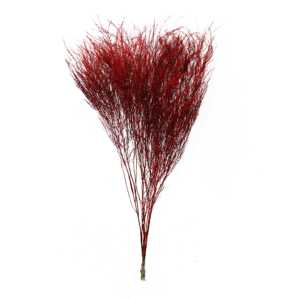 Аспарагус Триферн краш. красный 60