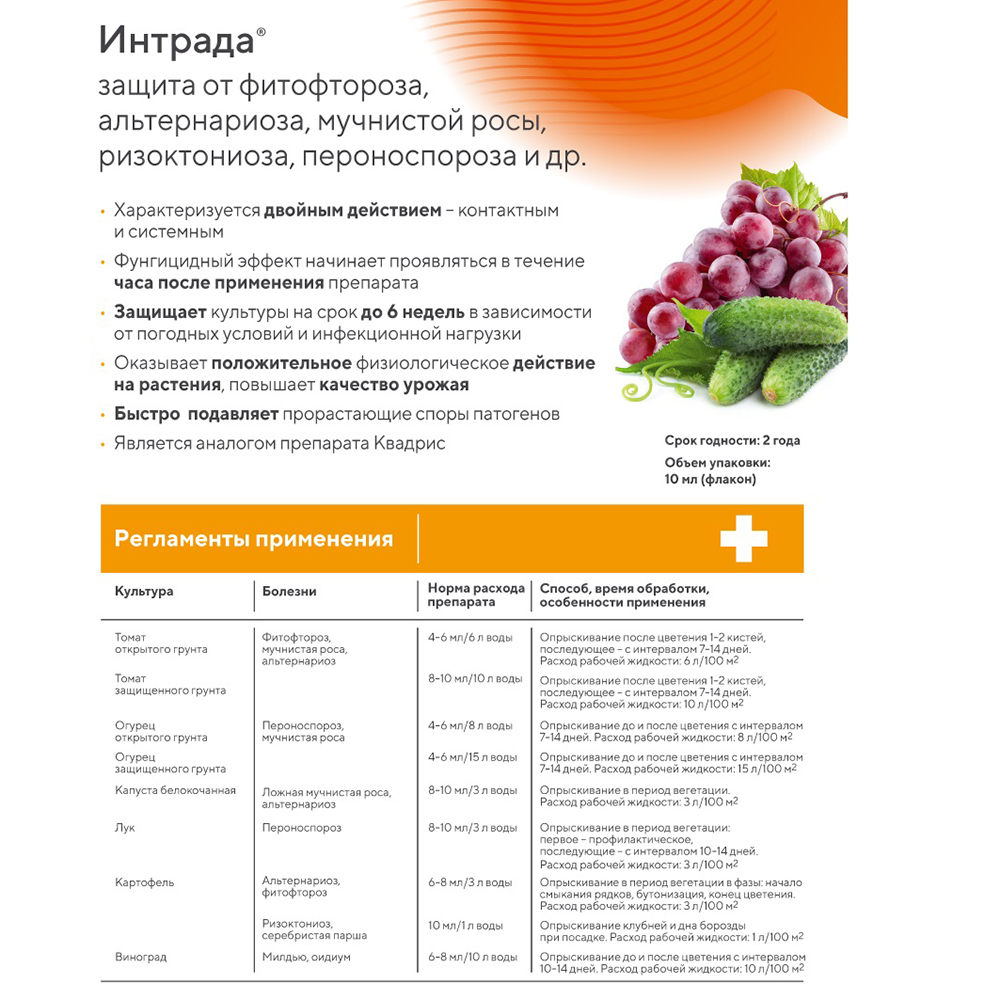 Интрада АВГУСТ  10мл  /80