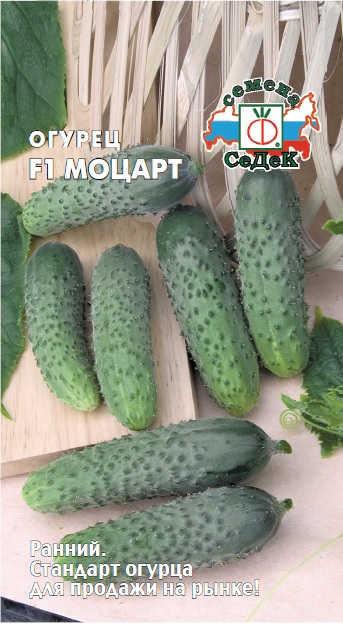 Огурец Моцарт F1  8шт/10
