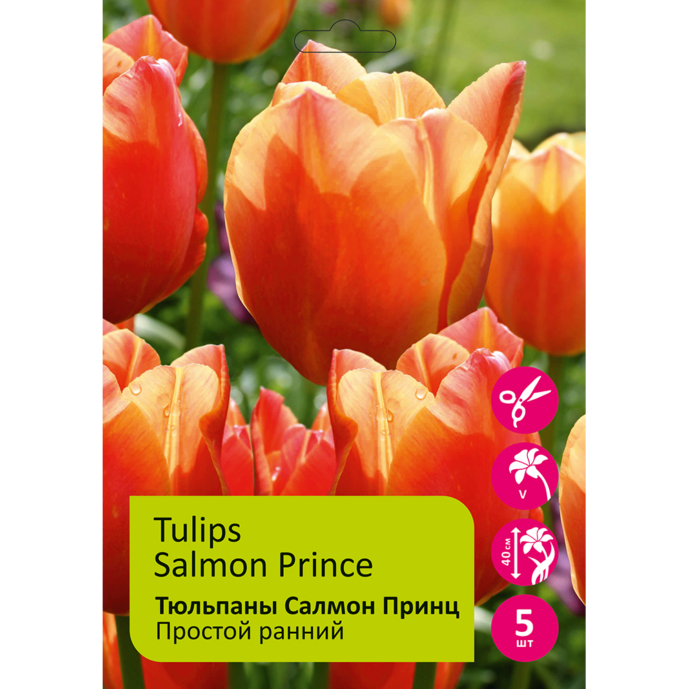 Тюльпаны Салмон Принц 5шт Простой ранний 11/12 /Tulips Salmon Prince