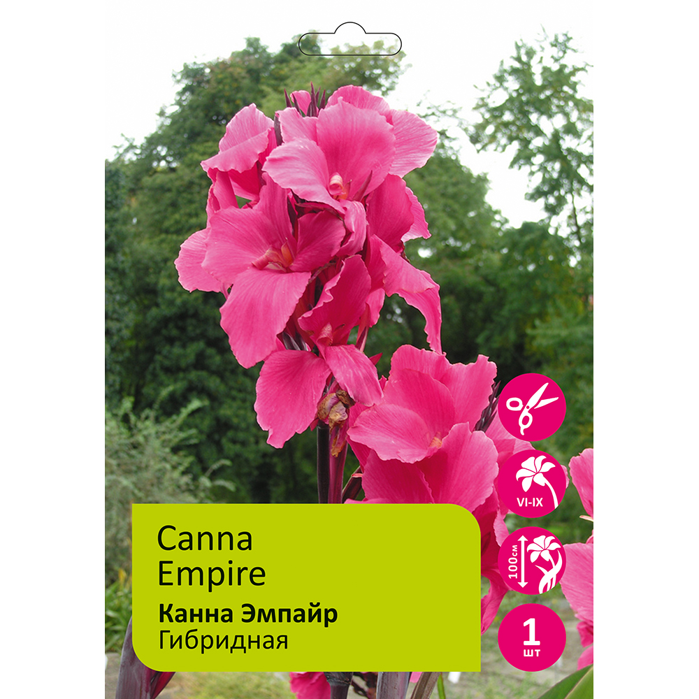 Канна Эмпайр гибридная 1шт /canna empire