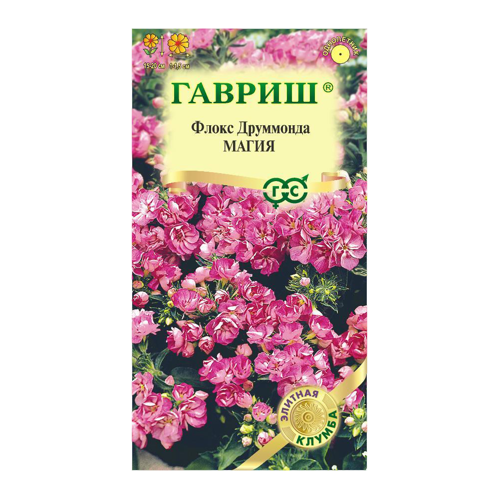Флокс друммонда Магия  8шт/10