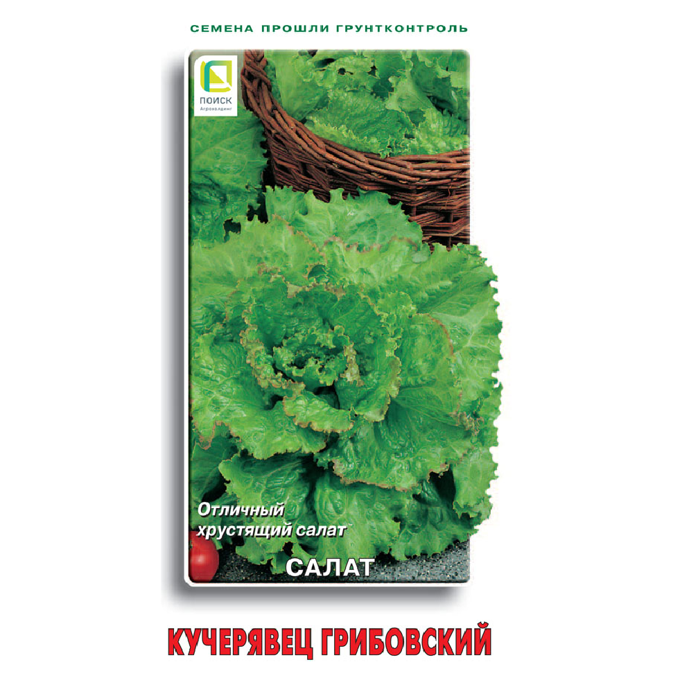 Салат Кучерявец Грибовский п/кочанный 1гр  /10