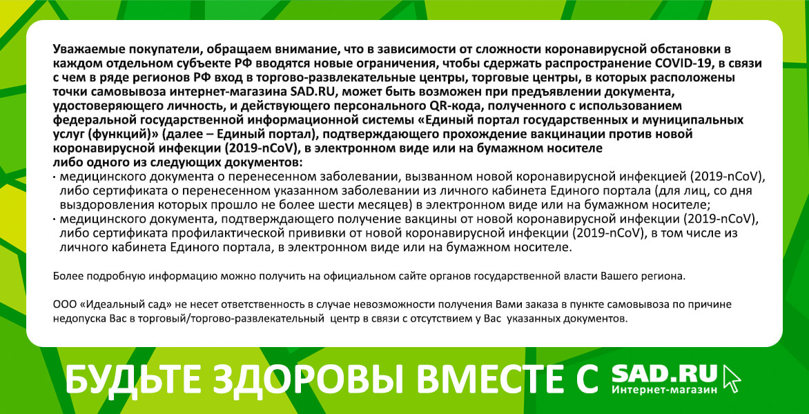 Интернет Магазин Www Ru Sad Ru Интернет Магазин Www Ru Sad Ru