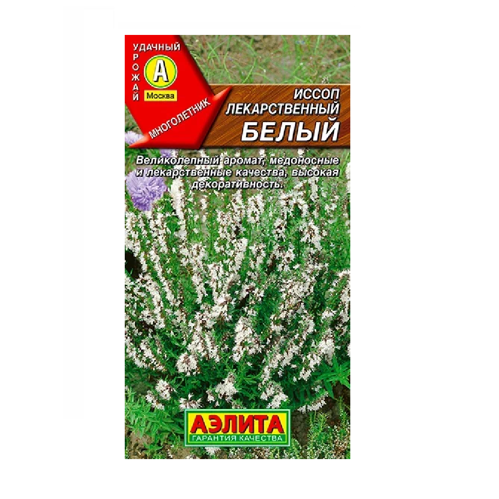 Иссоп лекарственный белый 0,1гр /10