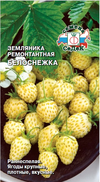 Земляника Белоснежка  0,04гр/10/100