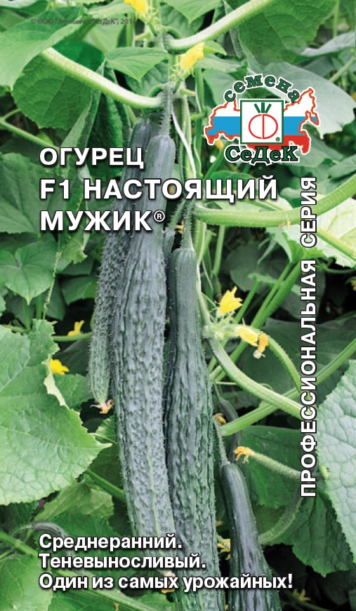 Огурец Настоящий мужик F1  0,2гр/10