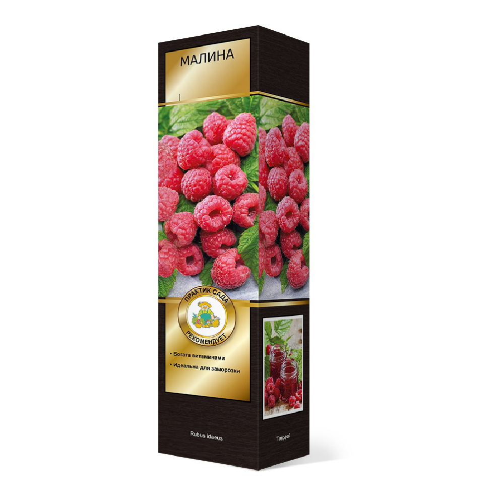 Малина ремонтантная Пингвин 1шт 