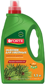 форте