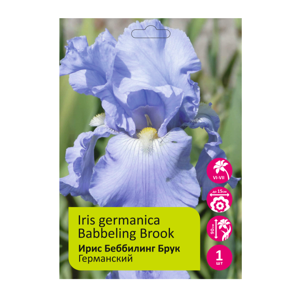 Ирис Беббилинг Брук 1шт германский /Iris Germanica Babbeling Brook