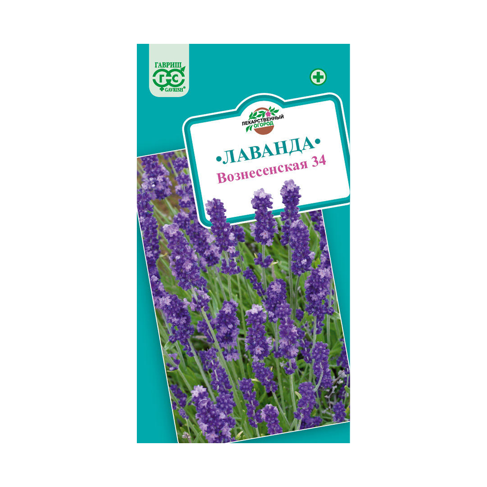 Лаванда узколистная Вознесенская 34  0,05гр/10