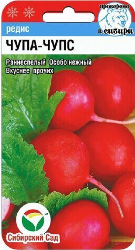 Редис Чупа-чупс 2гр/10