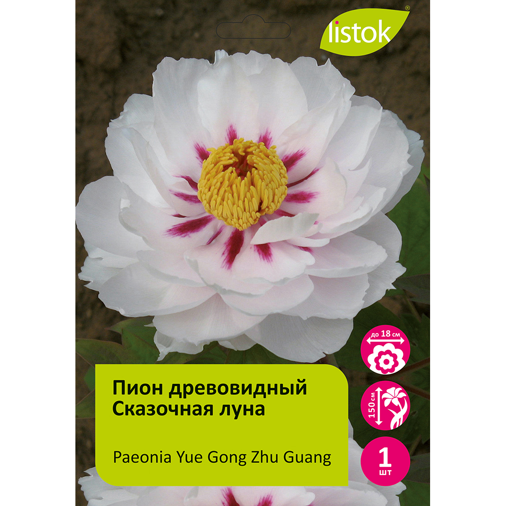 Пион древовидный Сказочная луна шт/Paeonia Yue Gong Zhu Guang (Moon Palace)(Ю Гонг Жу Гуанг)