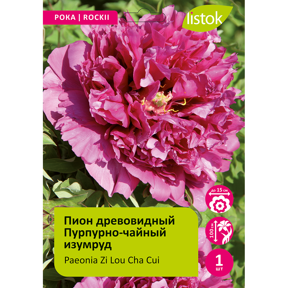 Пион древовидный Пурпурно‑чайный изумруд 1шт/Paeonia Zi Lou Cha Cui (Цзы Лу Ча Цуй)