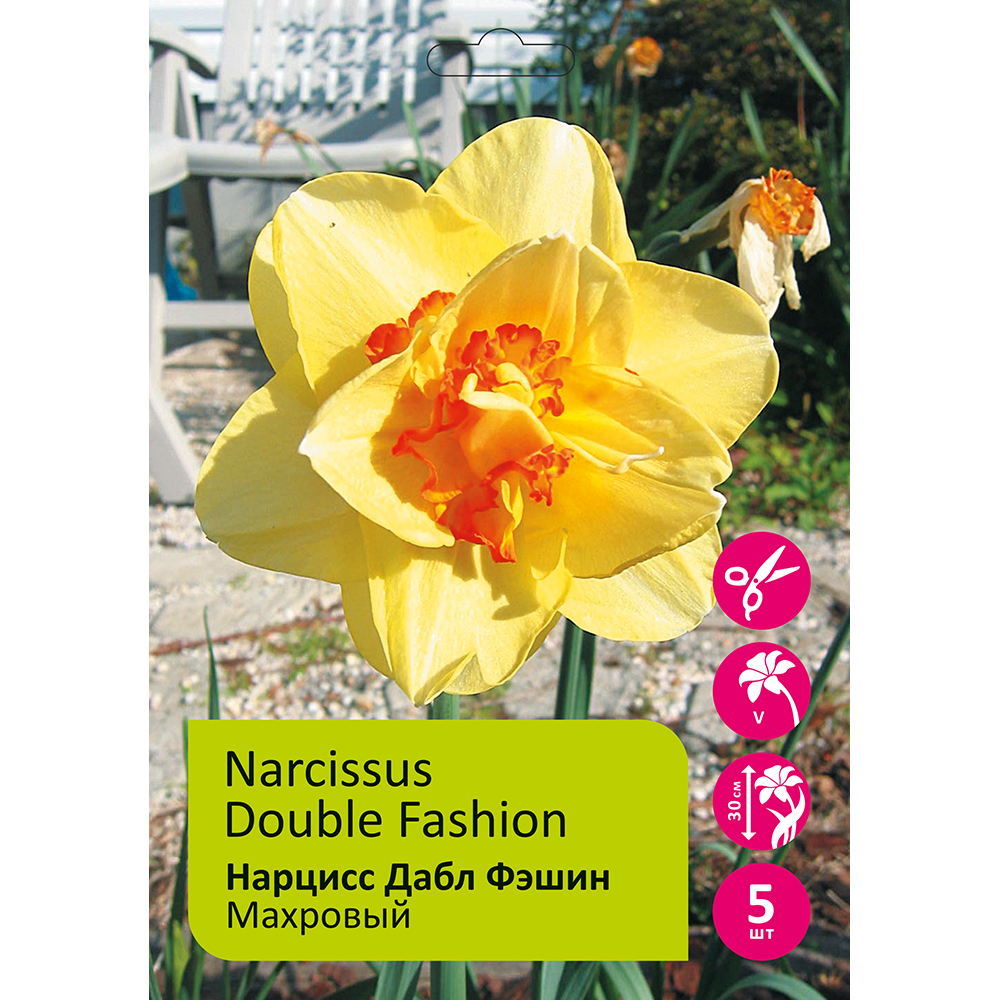 Нарциссы махровые Дабл Фэшин 5шт 12/14 / Narcissus Double Fashion