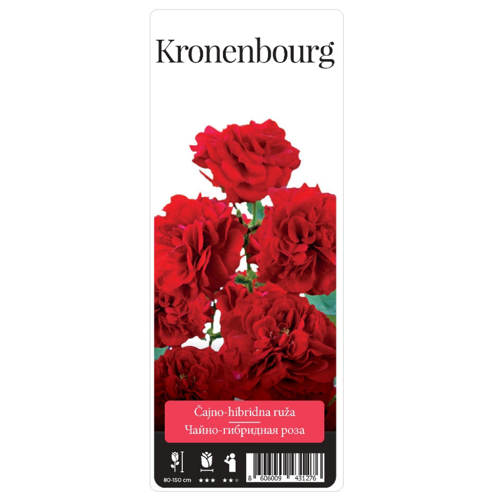 Роза Кроненбург чайно-гибридная 1шт./Kronenbourg/ 20