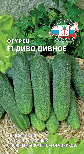 Огурец Диво Дивное F1  0,2гр/10