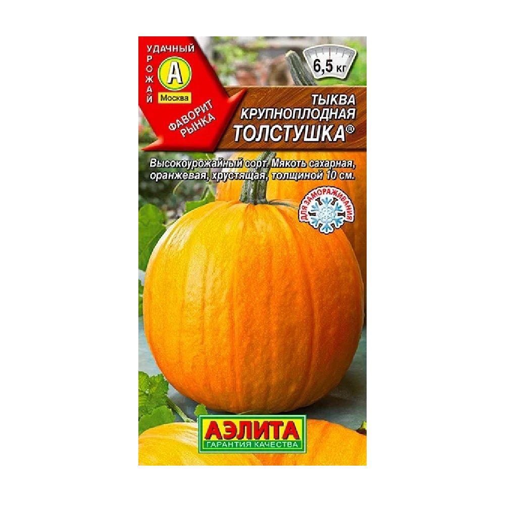 Тыква крупноплодная Толстушка 1гр  /10
