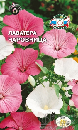 Лаватера Чаровница смесь 0,3гр/10
