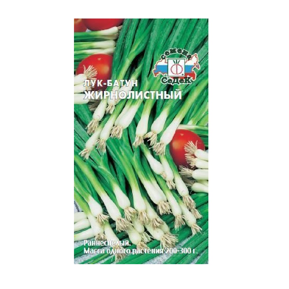 Лук батун Жирнолистный  1гр/10